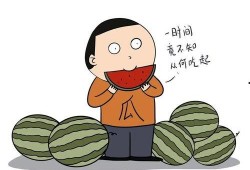 讲娱乐故事理智吃瓜,娱乐故事中的智慧解析