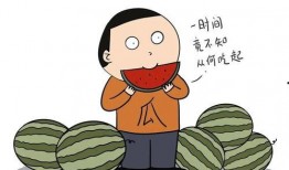 讲娱乐故事理智吃瓜,娱乐故事中的智慧解析