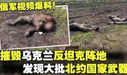 俄罗斯今日爆料视频,最新爆料视频揭露惊人内幕