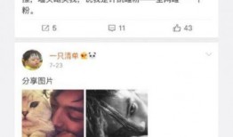 录音爆料许凯视频下载安装,揭秘明星隐私泄露事件