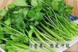 香菜爆料全过程视频,揭秘幕后真相