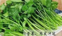 香菜爆料全过程视频,揭秘幕后真相