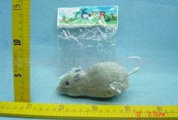 汕头老鼠爆料最新消息