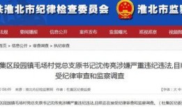 新闻视频怎么爆料的呢,技术手段与舆论监督的碰撞