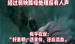 越南黑粉跨国爆料事件视频,越南黑粉爆料事件视频引发热议