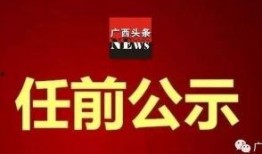 玉林头条最新爆料新闻,重大事件引发社会关注！